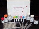 CD11α ELISA Kit CD11α ELISA Kit