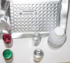 EB-VCA IgG ELISA Kit EB-VCA IgG ELISA Kit