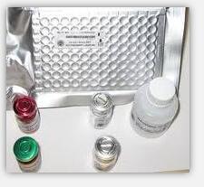sTNFR-Ⅰ ELISA kit sTNFR-Ⅰ ELISA kit