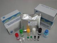 Mouse Heat Shock Factor 1,HSF1 ELISA Kit