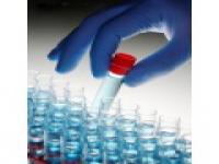 Anti-ABCB7